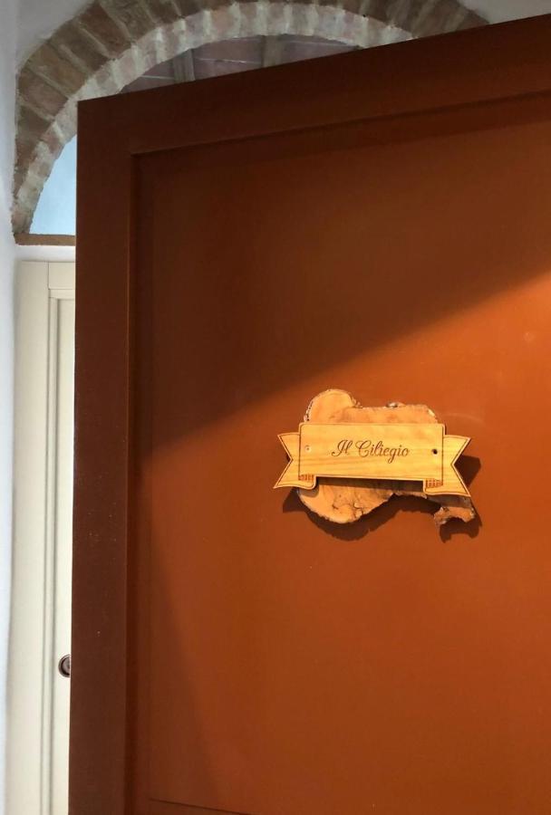 Agriturismo Diffuso Monte Oliveto Maggiore Chiusure エクステリア 写真
