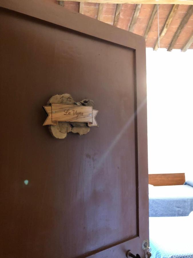 Agriturismo Diffuso Monte Oliveto Maggiore Chiusure エクステリア 写真
